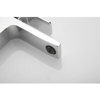 Rose R1001-1 Image #19