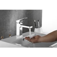 Rose R1001-1 Image #11