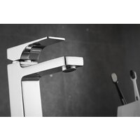 Rose R1001-1 Image #20