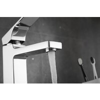 Rose R1001-1 Image #8