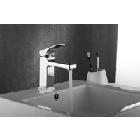 Rose R1001-1 Image #7