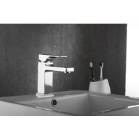 Rose R1001-1 Image #6