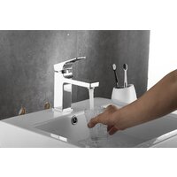 Rose R1001-1 Image #12