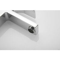 Rose R1001-1 Image #14