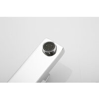 Rose R1001-1 Image #17