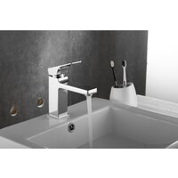 Rose R1001-1 Image #10