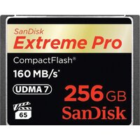 SanDisk Extreme Pro CompactFlash 256GB [SDCFXPS-256G-X46] Image #1