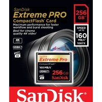 SanDisk Extreme Pro CompactFlash 256GB [SDCFXPS-256G-X46] Image #3