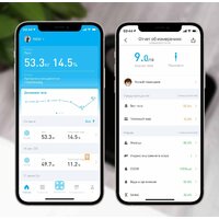 Picooc Mini Lite (черный) Image #8
