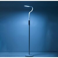 Citilux Марк CL804020 Image #8