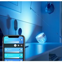 Philips Hue Iris (серебристый) Image #4