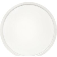 EKF 300 мм 24W Connect Image #3