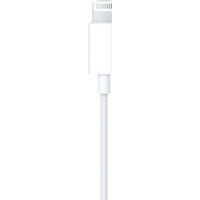 Apple EarPods (с разъёмом Lightning) Image #6