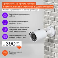 Ростелеком IPC-HFW1230SP Image #8