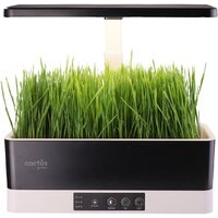 Комнатные растения, флорариумы