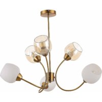 Evoluce Tratti SLE1136-302-06 Image #2