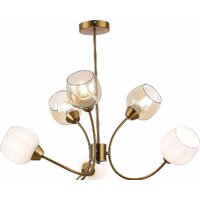 Evoluce Tratti SLE1136-302-06