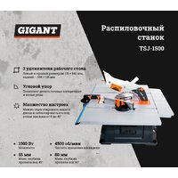 Gigant TSJ-1500 Image #2