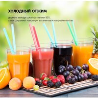 Polaris PSJ 0602 Image #17