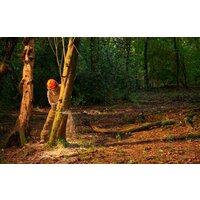 Ryobi RY36CSX35A-150 (с АКБ 5 Ah) Image #13