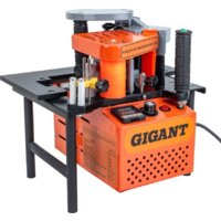 Gigant MF171A Image #2