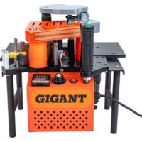 Gigant MF171A