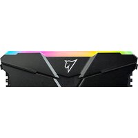 Netac Shadow RGB 8ГБ DDR4 2666 МГц NTSRD4P26SP-08E Image #1