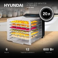 Hyundai HYFD-8800 Image #2
