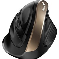 Genius Ergo 8250S (черный/золотистый) Image #3