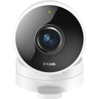 D-Link DCS-8100LH/A1A Image #2