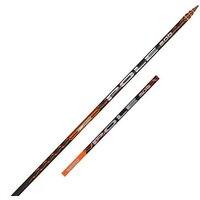 Salmo Pole 5.00