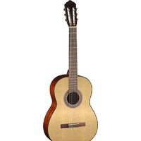 Cort AC100 SG