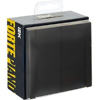 IEK Forte&Piano FP-V22-1-10-1-K02 Image #2