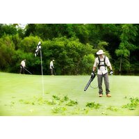 Greenworks G82BC 82V 2916107 Image #7